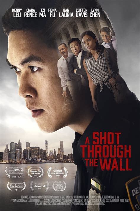 shot through a wall